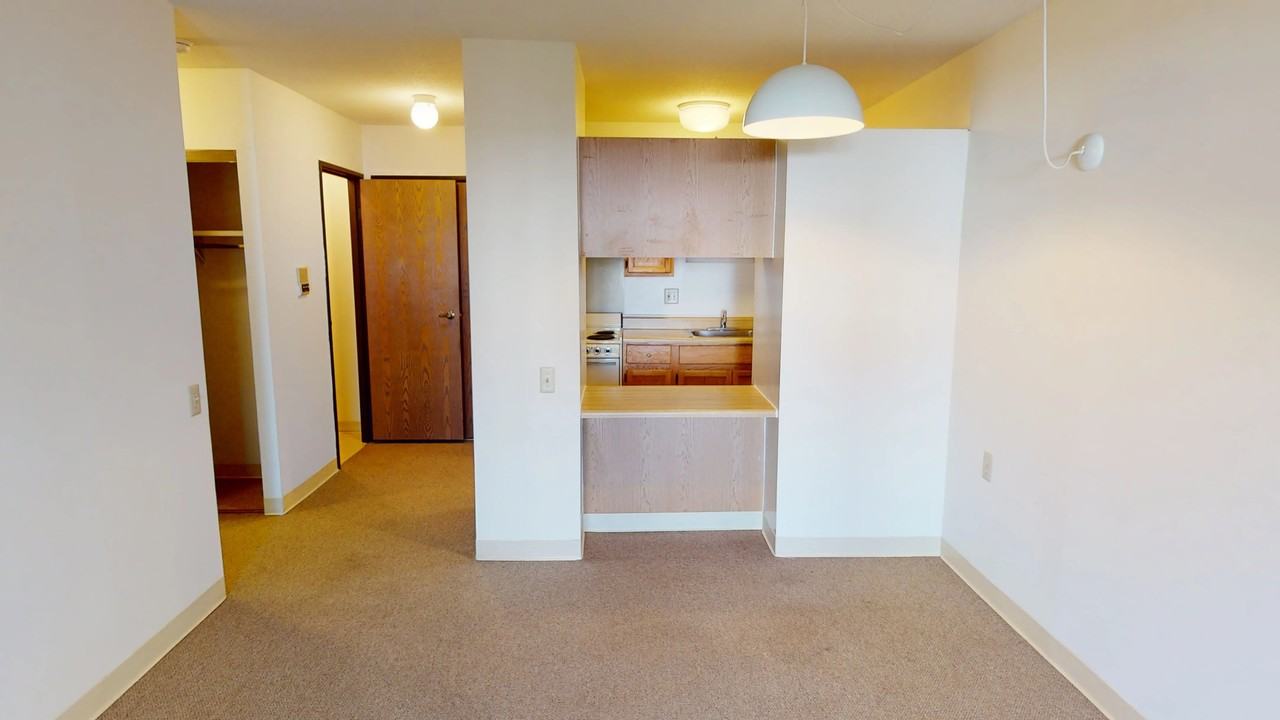 Ukrainian Village - Photo 4 of 40