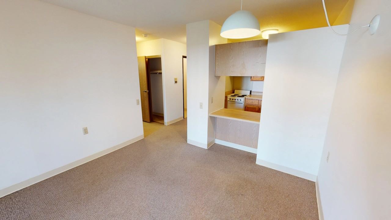 Ukrainian Village - Photo 6 of 40