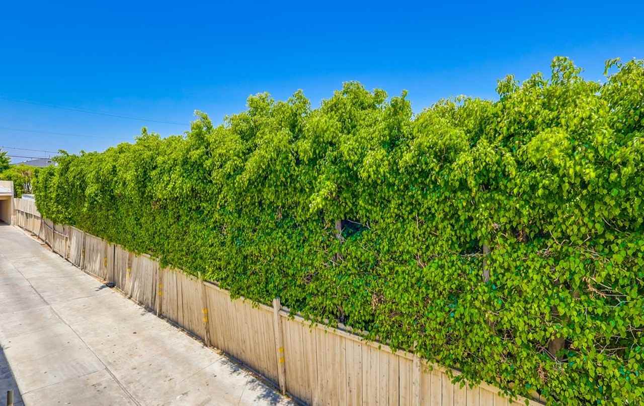 Apartment Building in Park Mesa Heights with Laundry On - Photo 3 of 5