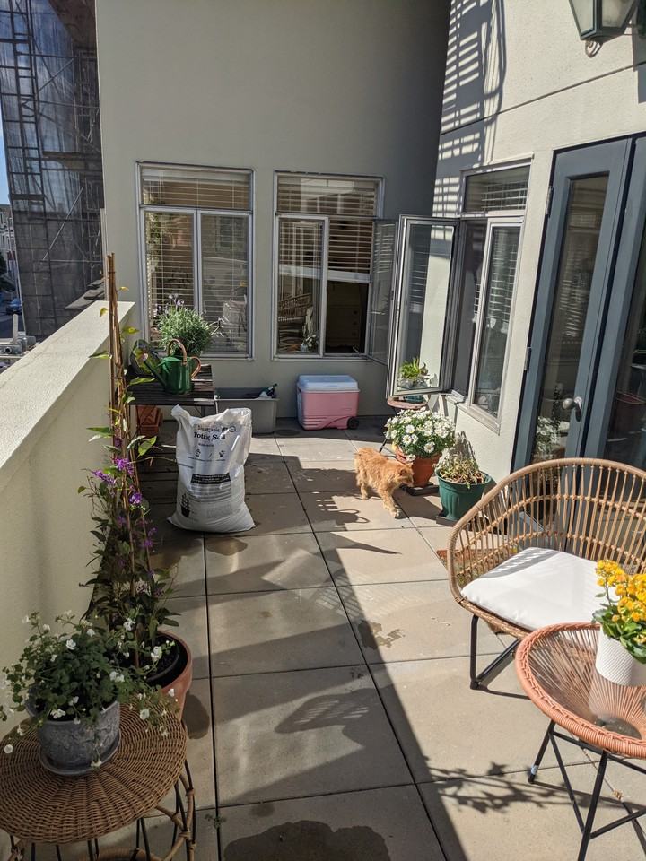 349 Cherry Street - Photo 3 of 14