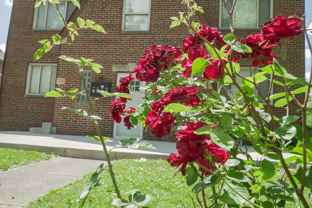 65 N Brinker Apt 2 - Photo 1 of 1