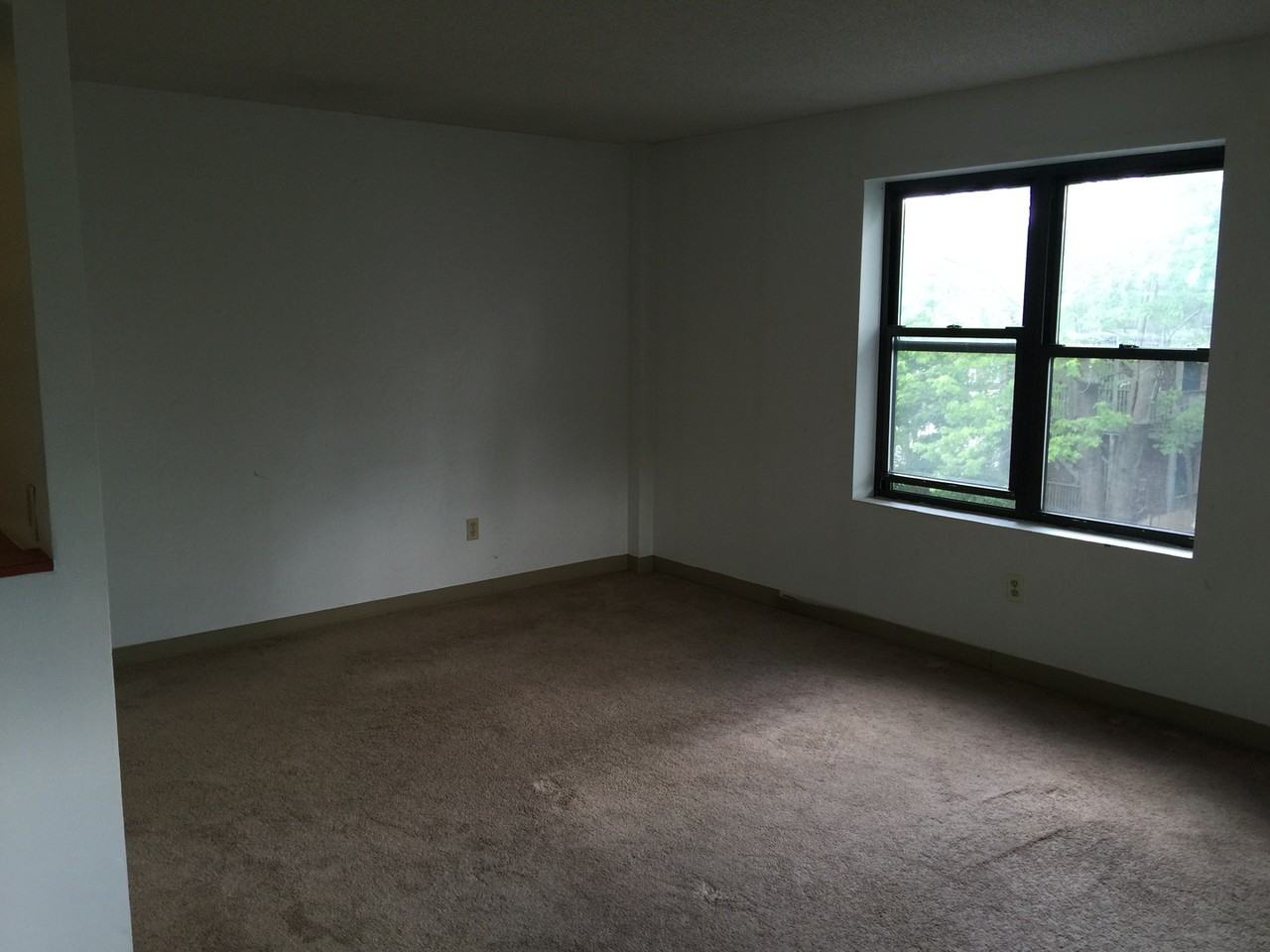 59-69 59-69 Msg Patrick Lydon Way. #306 - Photo 4 of 10