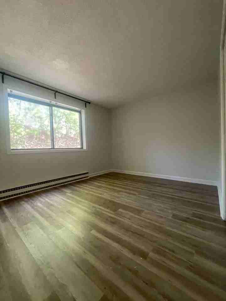 19 Maple Street - Photo 7 of 15