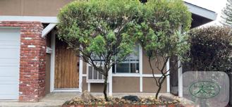 290 W Alexander Ave - Photo 1 of 1