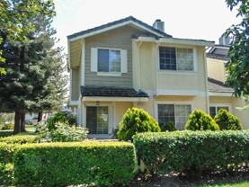 34701 Woodhue Ter - Photo 1 of 1