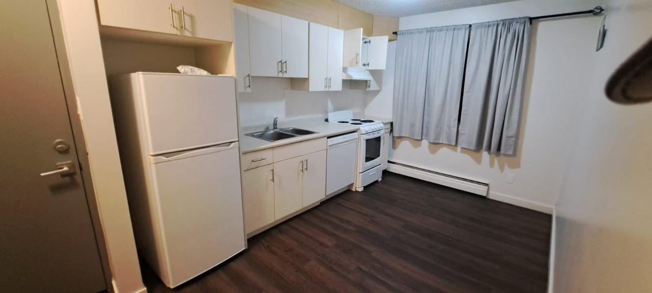 8303 4b - 8303 100 St #4B - Photo 3 of 8