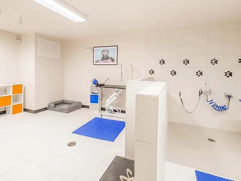 1910 S Josephine St - Photo 5 of 32