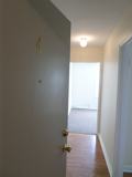 Williamsburg Terrace Apartments - Photo 1 of 1