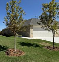 207 Gray St - Photo 1 of 1