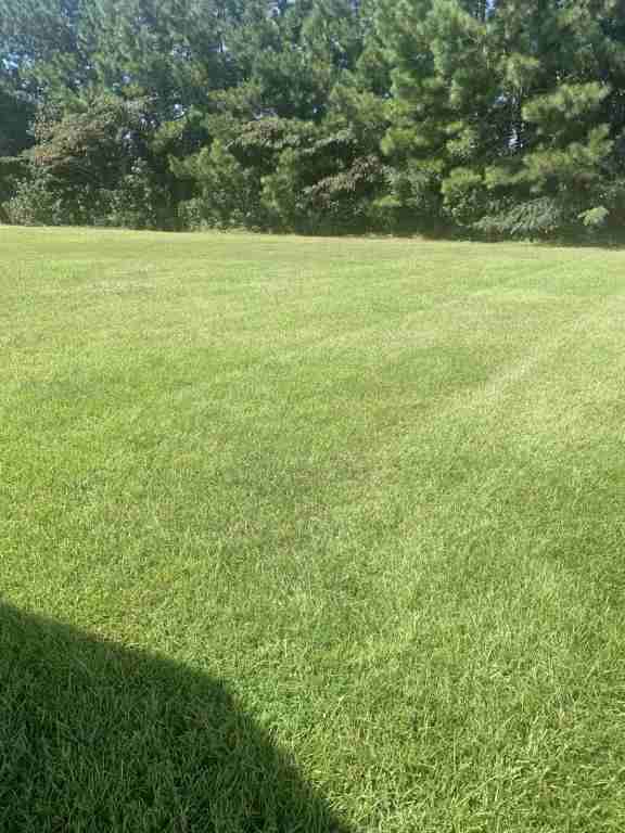 649 Rambler Ct - Photo 4 of 9