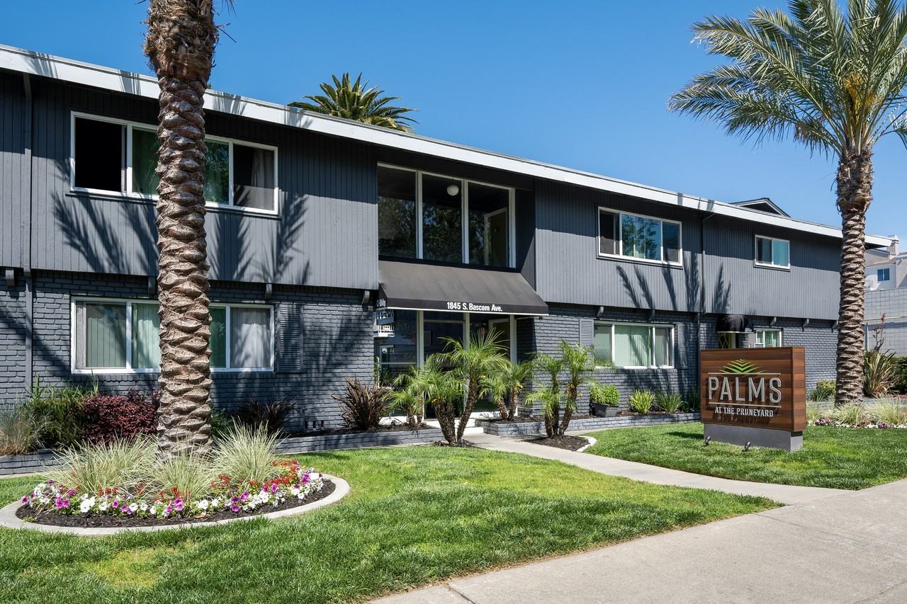 Palms at the Pruneyard - Photo 2 of 50