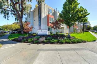 The Rexford - Photo 1 of 1