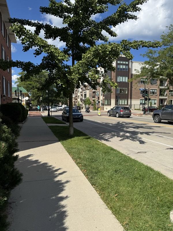 4333 N Oakland Ave #116 - Photo 5 of 19