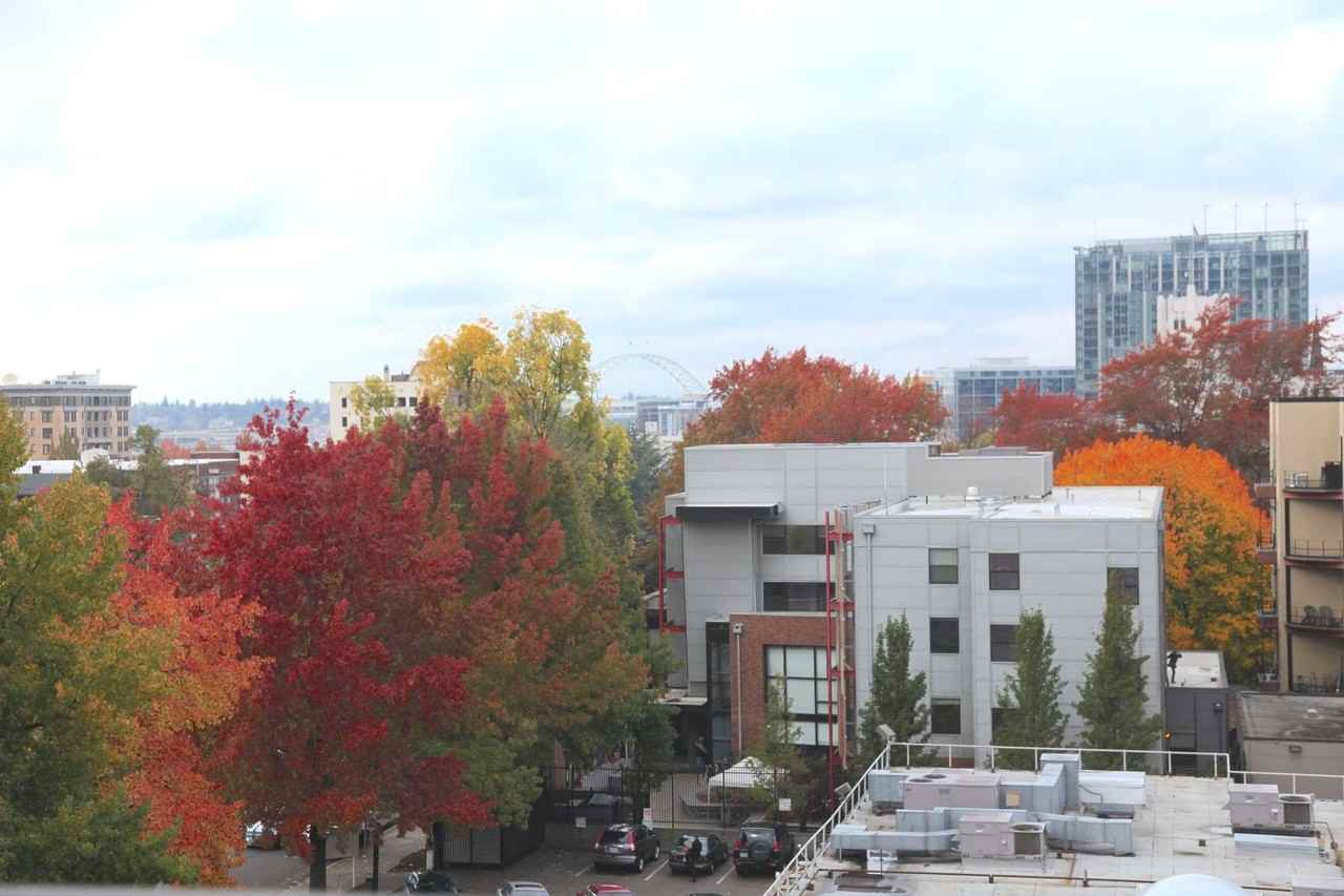 1232 SW Jefferson St. - Photo 5 of 36