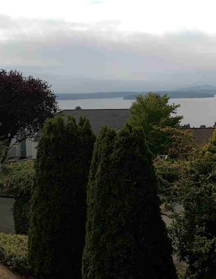 6736 38th Ave Sw - Photo 3 of 16