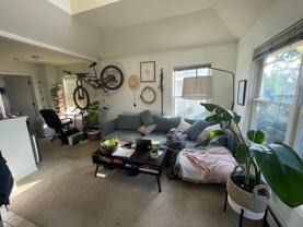 1629 Spruce St #4 - Photo 1 of 1