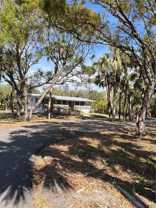 50 Palm Dr - Photo 1 of 1