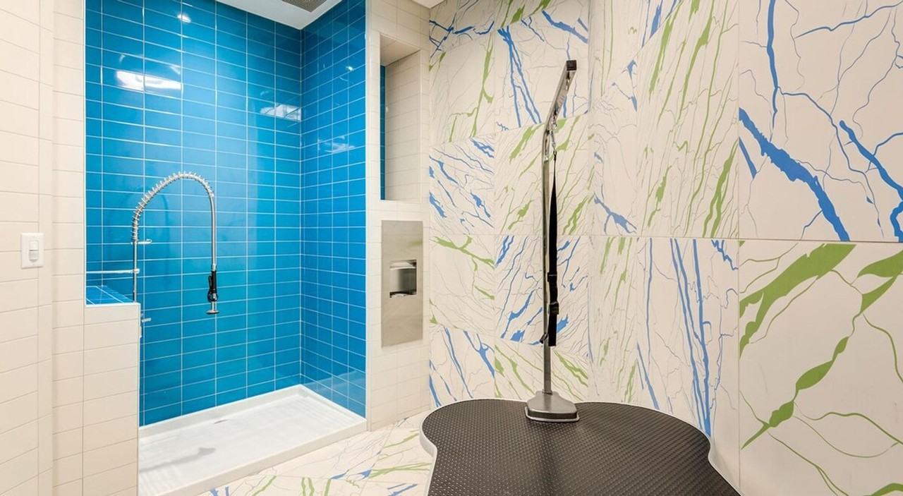 8001 Woodmont Ave #1271714P - Photo 7 of 38