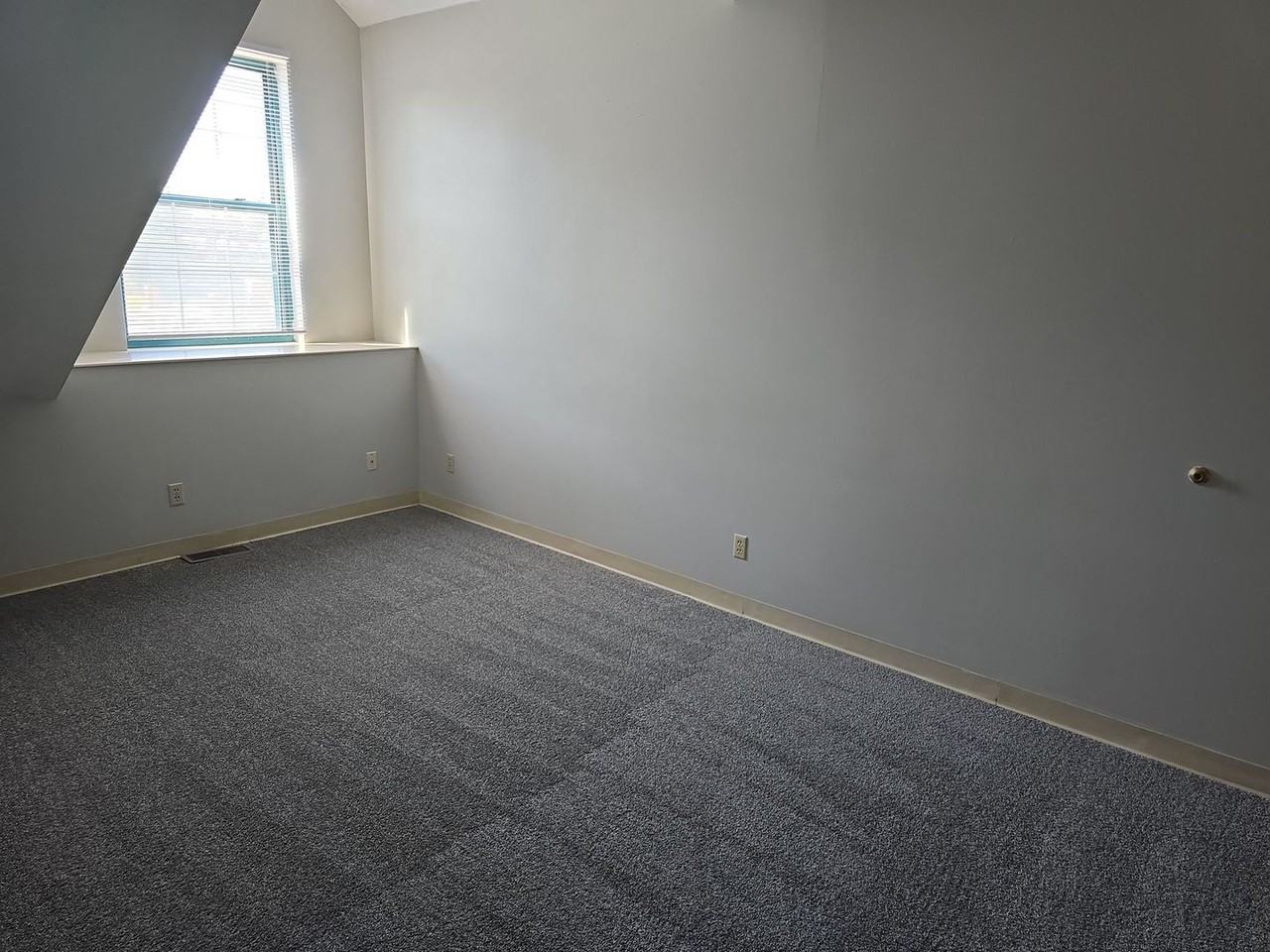 519 North Dill Street #6 - Photo 4 of 11