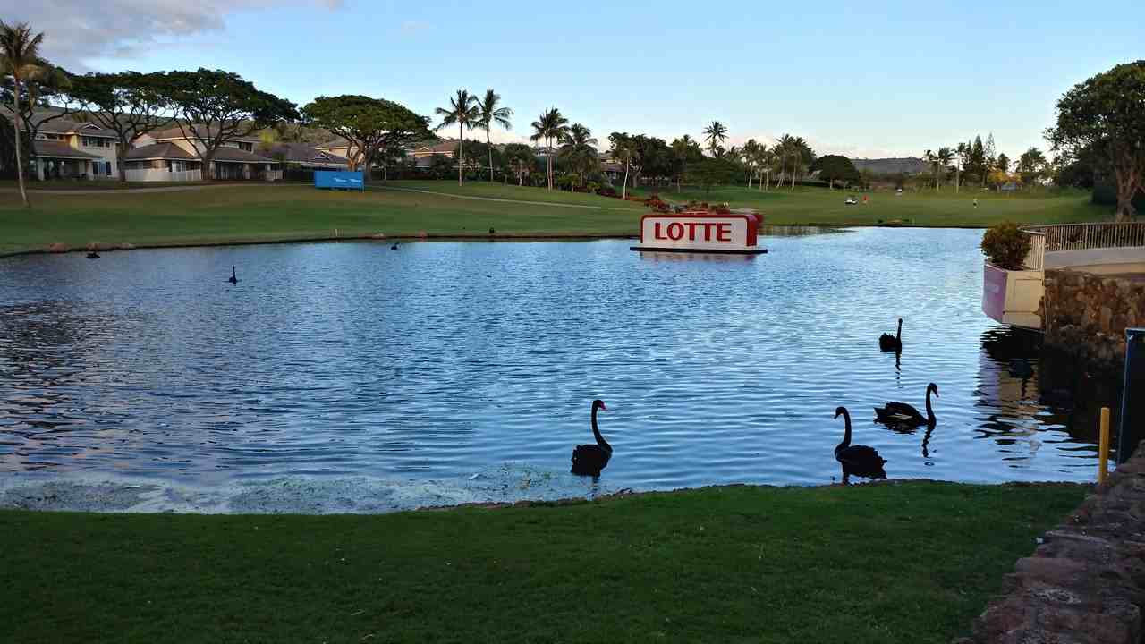 92-1218 Olani Street #2 - Photo 7 of 12