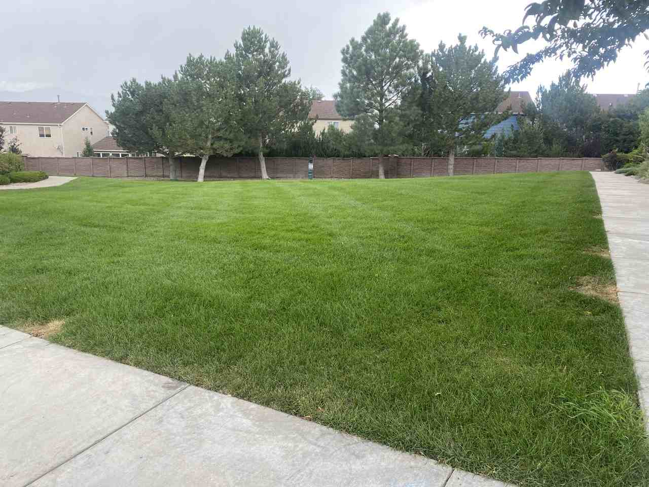 8735 Bamboo Grv #8735 - Photo 2 of 10