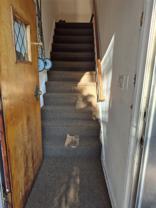 8525 144th St #2ndFL - Photo 1 of 1