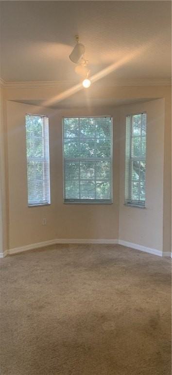 2418 57th Circle #2418 - Photo 5 of 23