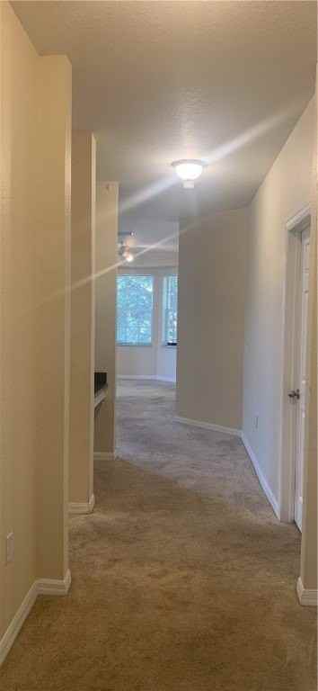 2418 57th Circle #2418 - Photo 6 of 23