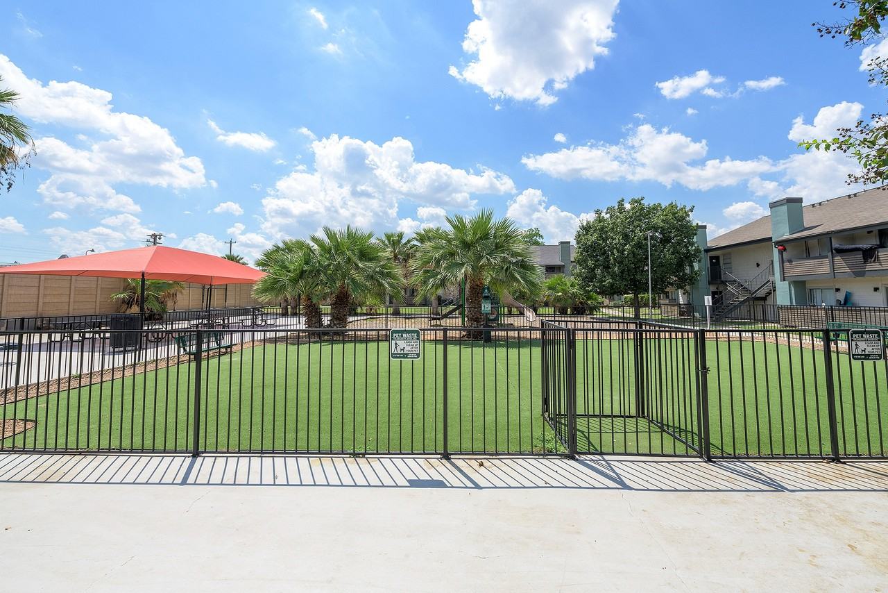 Astra - Photo 7 of 38