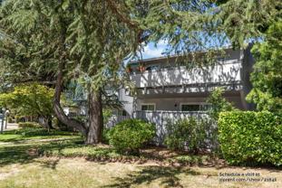 14245 Lora Dr #1 - Photo 1 of 1