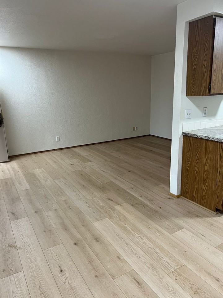 Viking Suites - Photo 7 of 33