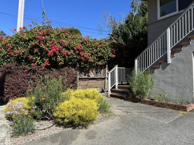 100 Belvedere Drive - Photo 1 of 1
