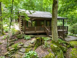 featured image of 1364 Herron Branch Rd