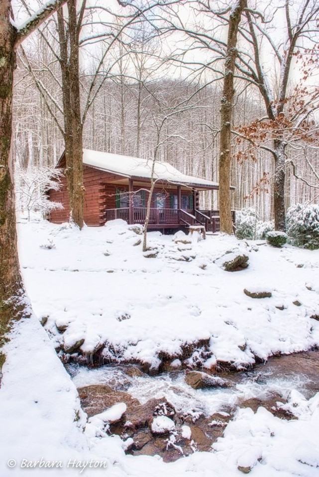 1364 Herron Branch Rd - Photo 5 of 17