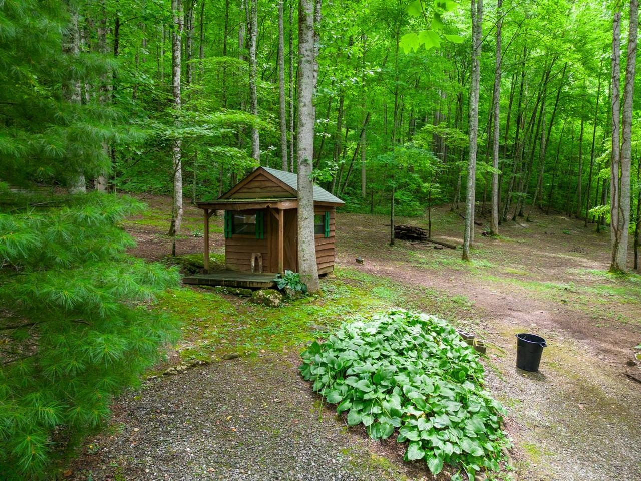 1364 Herron Branch Rd - Photo 7 of 17