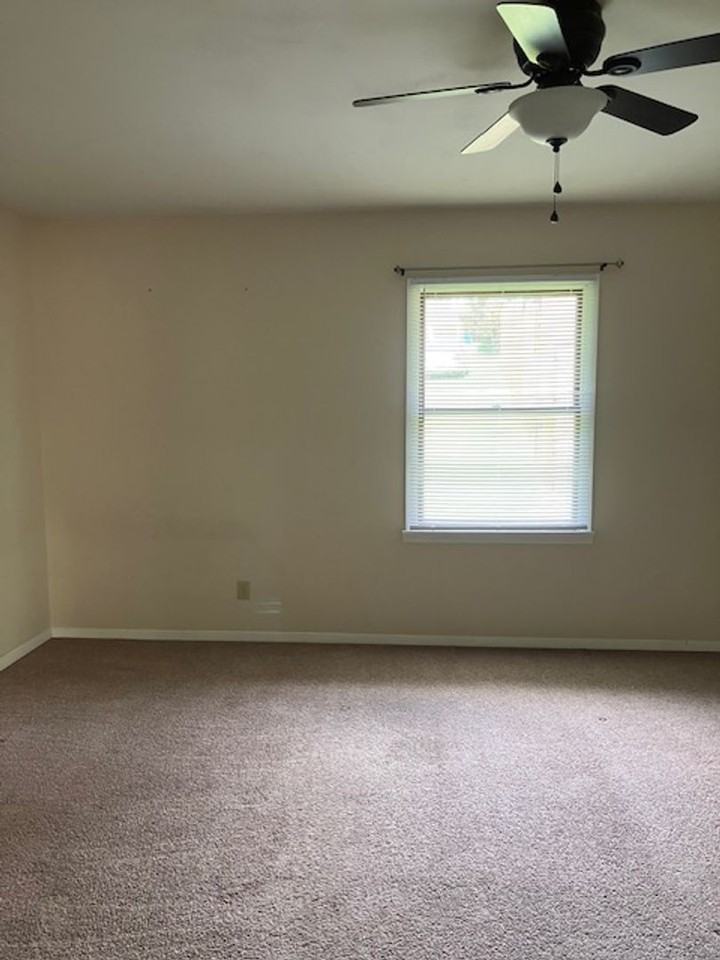 Horn Street - Photo 7 of 10