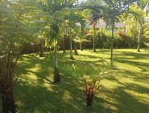 15 Aweoweo Street - Photo 1 of 1