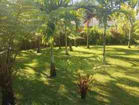 15 Aweoweo Street - Photo 1 of 1