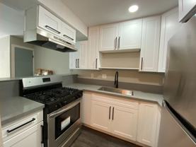 Donax - Photo 1 of 1