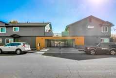 Donax - Photo 1 of 1