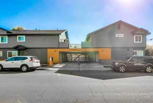 Donax - Photo 1 of 1