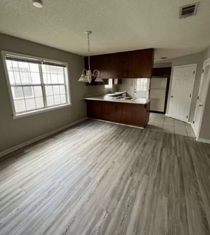 251 Blue Pool Dr - Photo 2 of 10