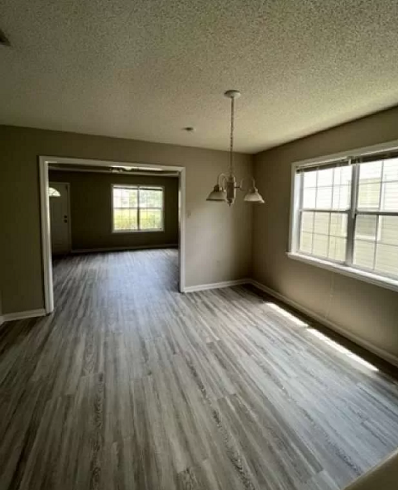 251 Blue Pool Dr - Photo 4 of 10
