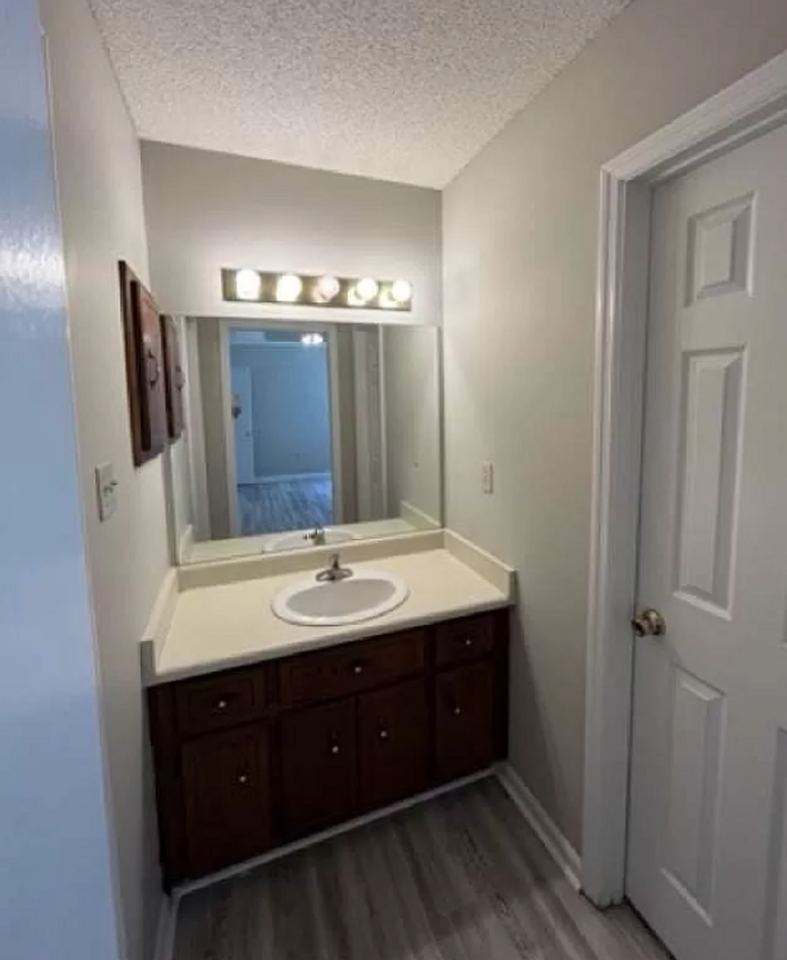 251 Blue Pool Dr - Photo 6 of 10