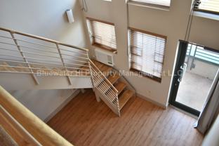 545 Queen St #641 - Photo 1 of 1