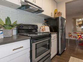 355 Kiely Blvd - Photo 1 of 1