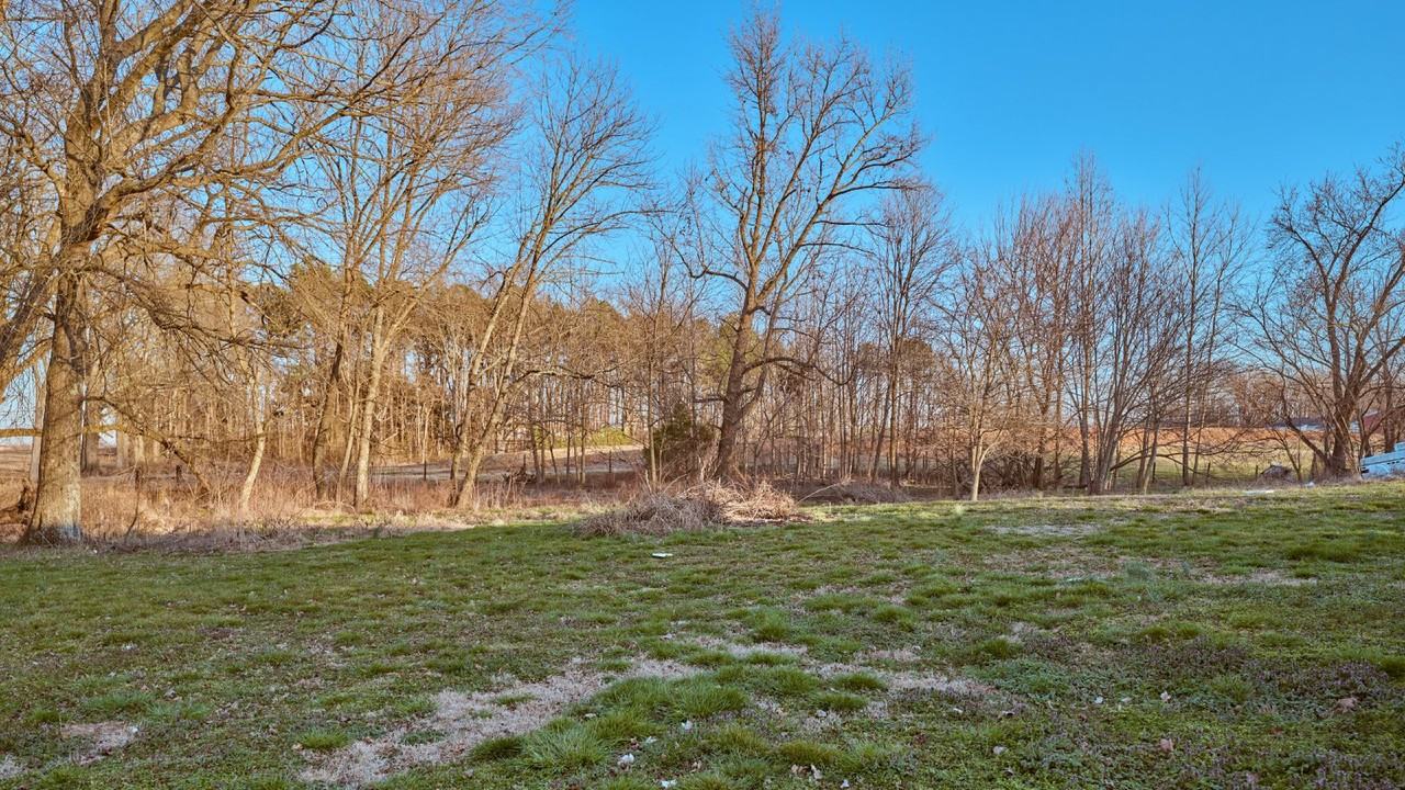 4827 Sory St - Photo 6 of 13