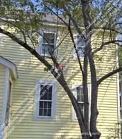 featured image of 6 Spring St #6