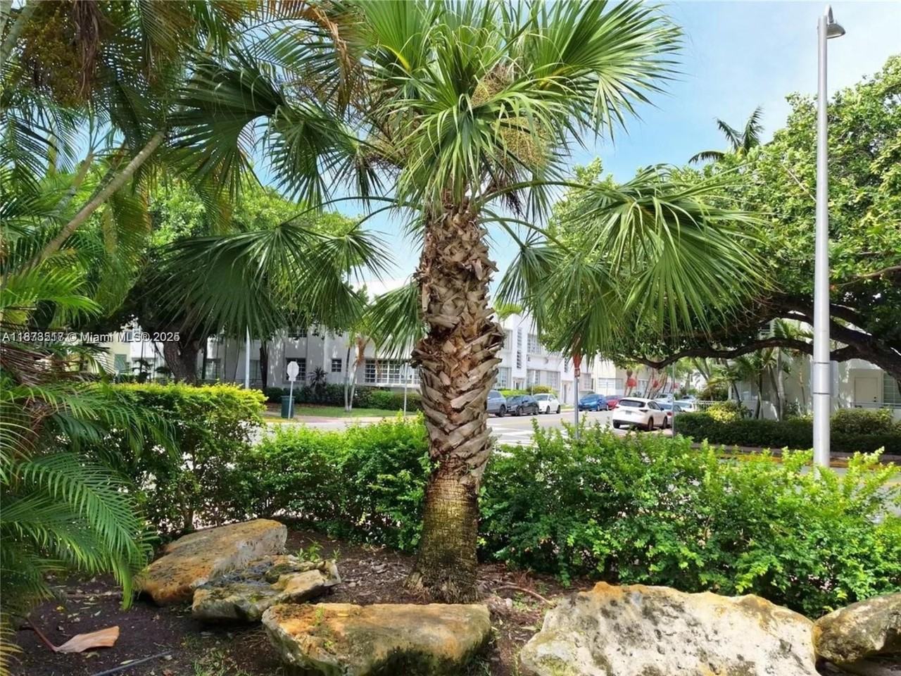 1009 Meridian Ave #13 - Photo 2 of 17