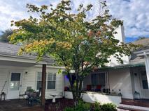 813 Apperson Dr - Photo 1 of 1